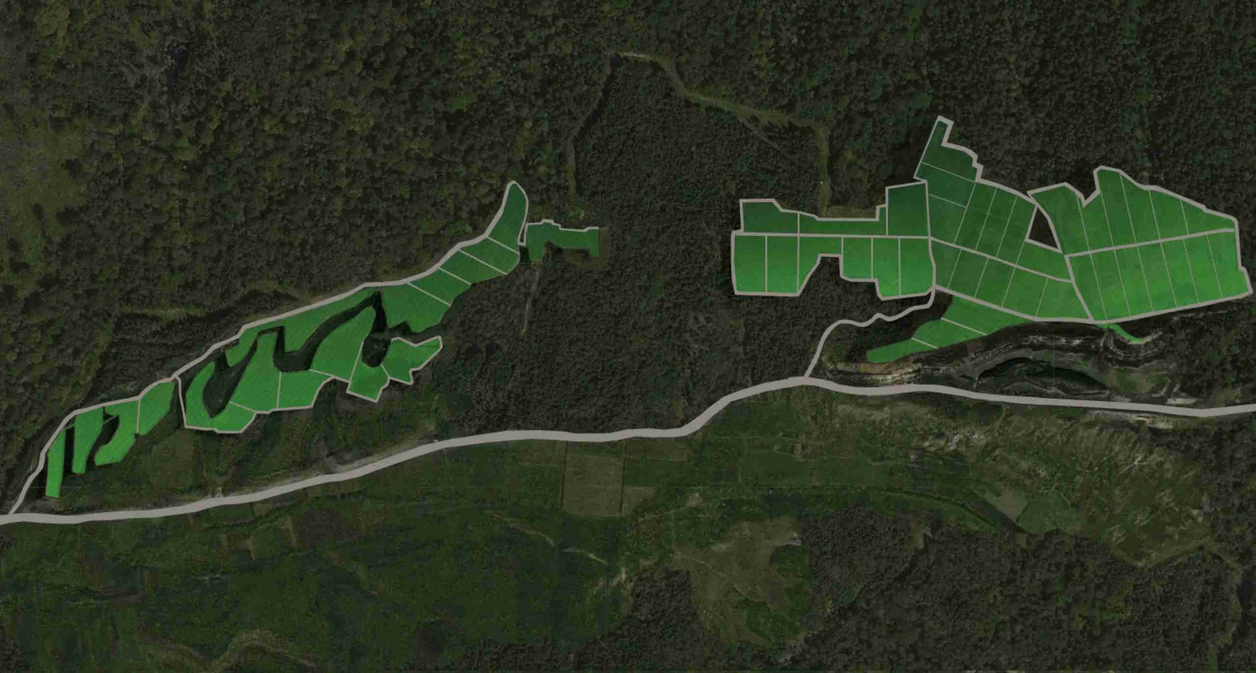 Виноградники АртВин