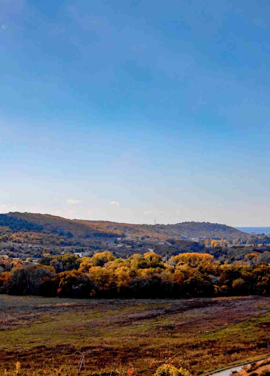 Участок N 91:04:016001:9